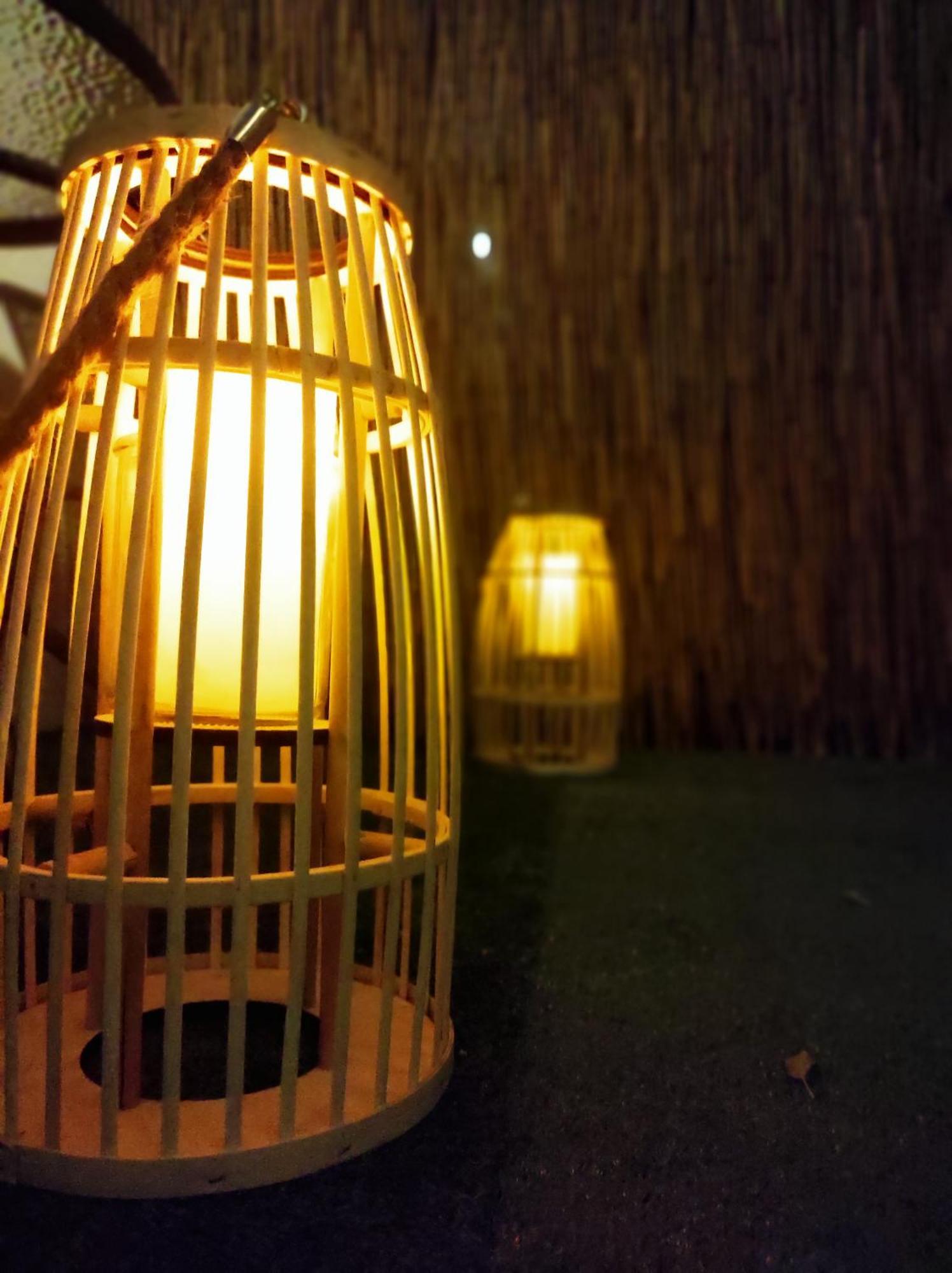 Aurora Nest Apartment